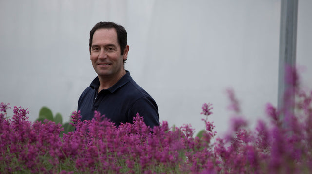 David Salman and agastache plants in the greenhouse