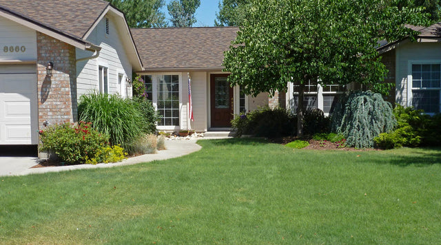 Healthy lawn outside of home