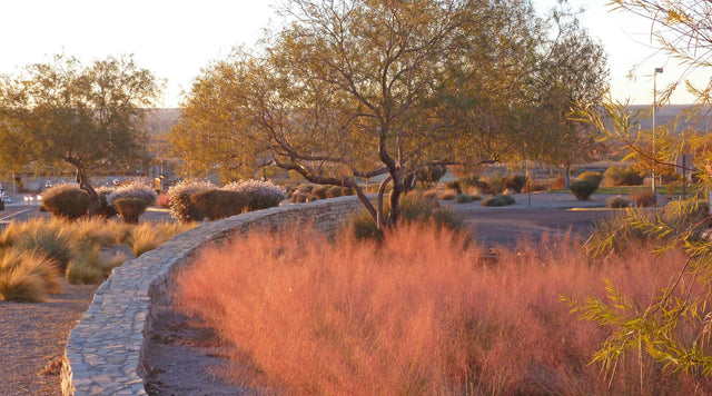 Preparing Your Garden for Winter