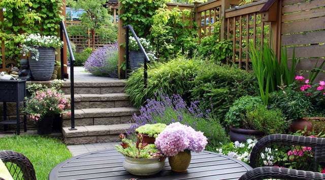 Plants arranged around outdoor living space