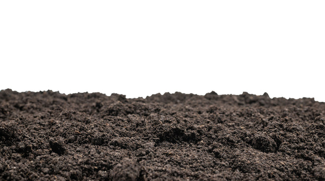 Soil on white background