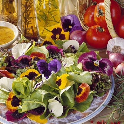edible flower seeds Edible Flower Seed Mix