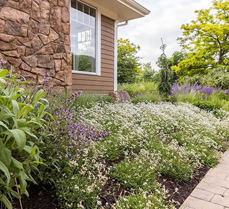 alternative lawn house view