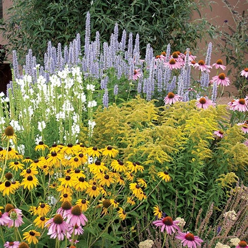 Summer Dreams Pre-Planned Garden