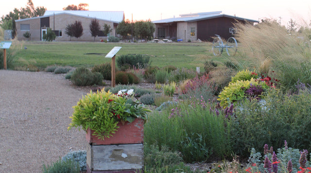 The Utah State University Botanical Center Pollinator Garden at sunset