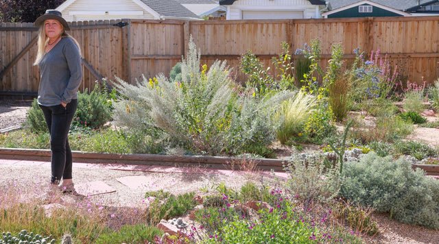 Woman standing on path in dry garden