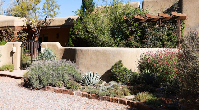 Garden at front of high country estate