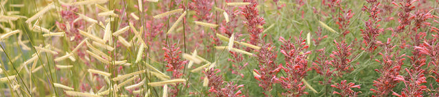 blog placeholder image