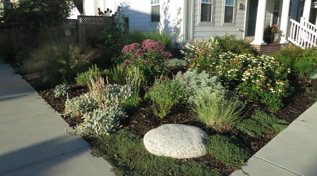 Garden on corner of house