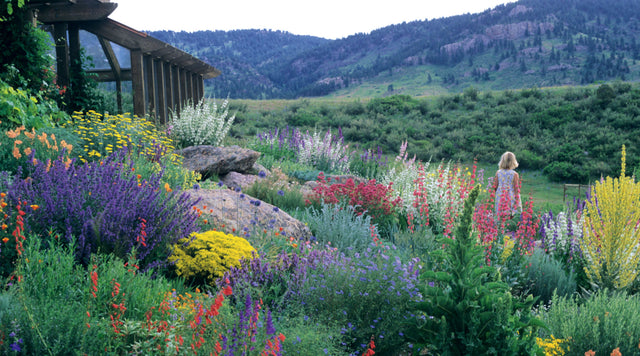 Girl walking in field of wildflowers