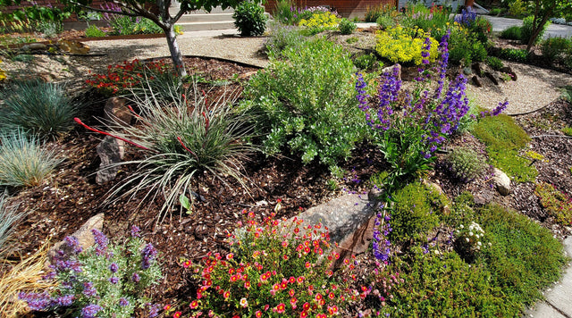 A colorful customer garden