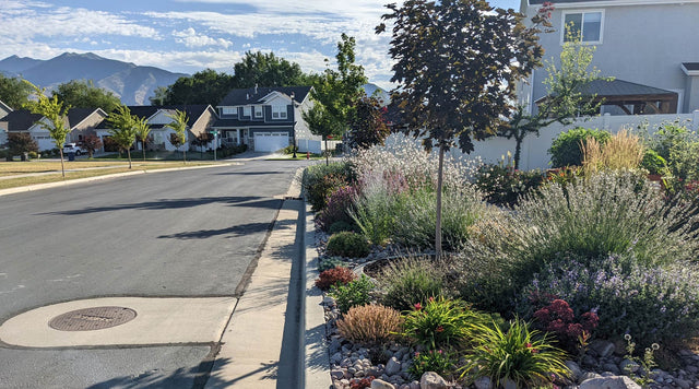 Xeriscaped yard in Utah