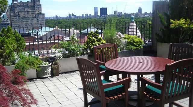 Rooftop gardening has its own set of challenges. Learn about watering, the best soils and how to choose the right plants.