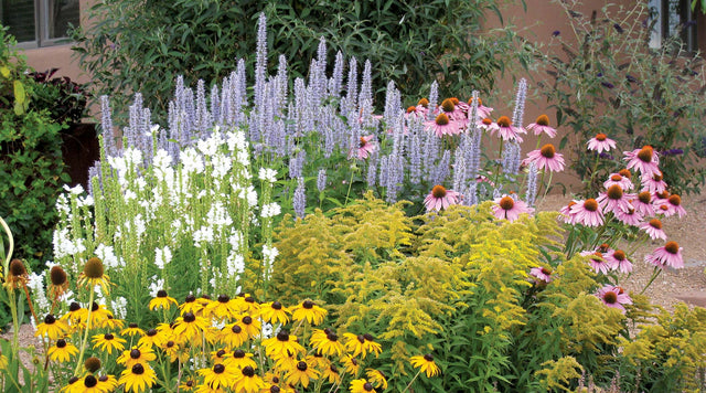 Summer Dreams Pre-Planned Garden: Good preparation in spring leads to beautiful summer displays!