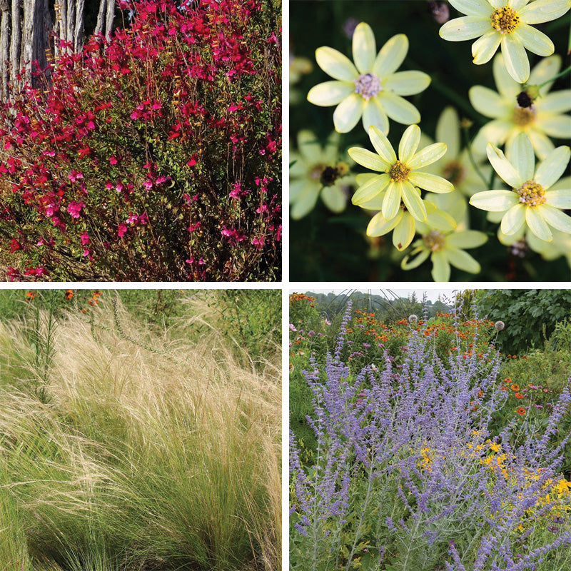 Blowin' In The Wind Collection