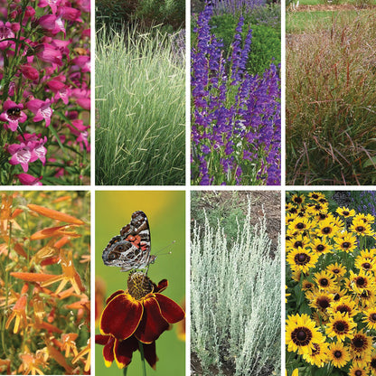 Colorado Perennial Collection