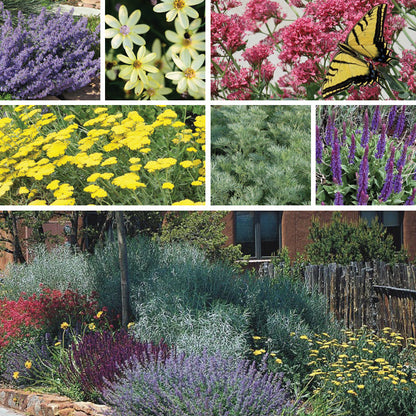 Extra Jumbo Waterwise Pre-Planned Garden