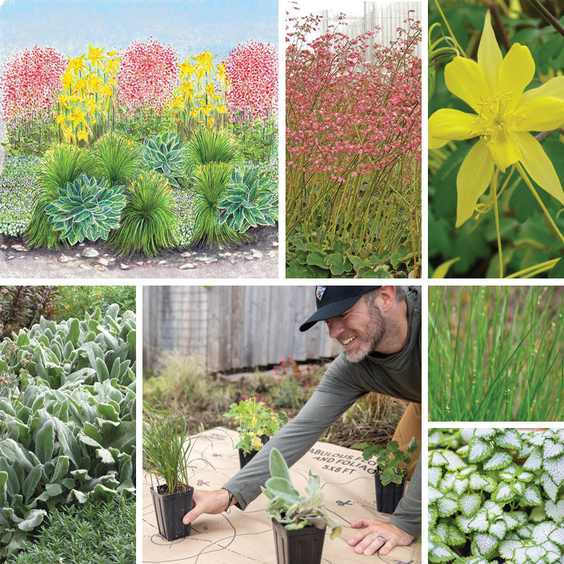 Fabulous Flowers & Foliage Shade Pre-Planned Garden