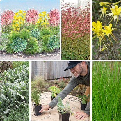 Fabulous Flowers & Foliage Shade Pre-Planned Garden