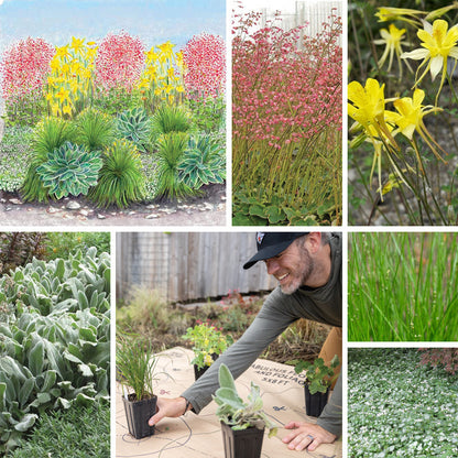 Fabulous Flowers & Foliage Shade Pre-Planned Garden