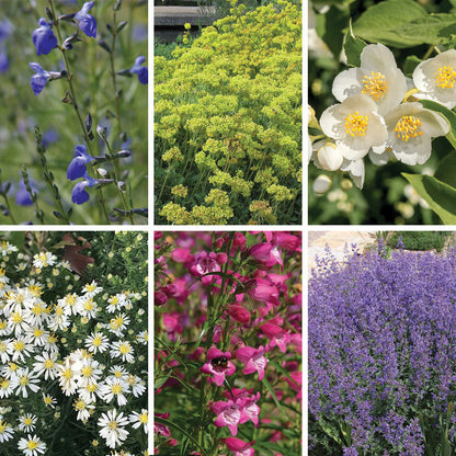 FireSmart Collection - Zone 3