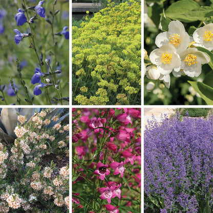 FireSmart Collection - Zone 3