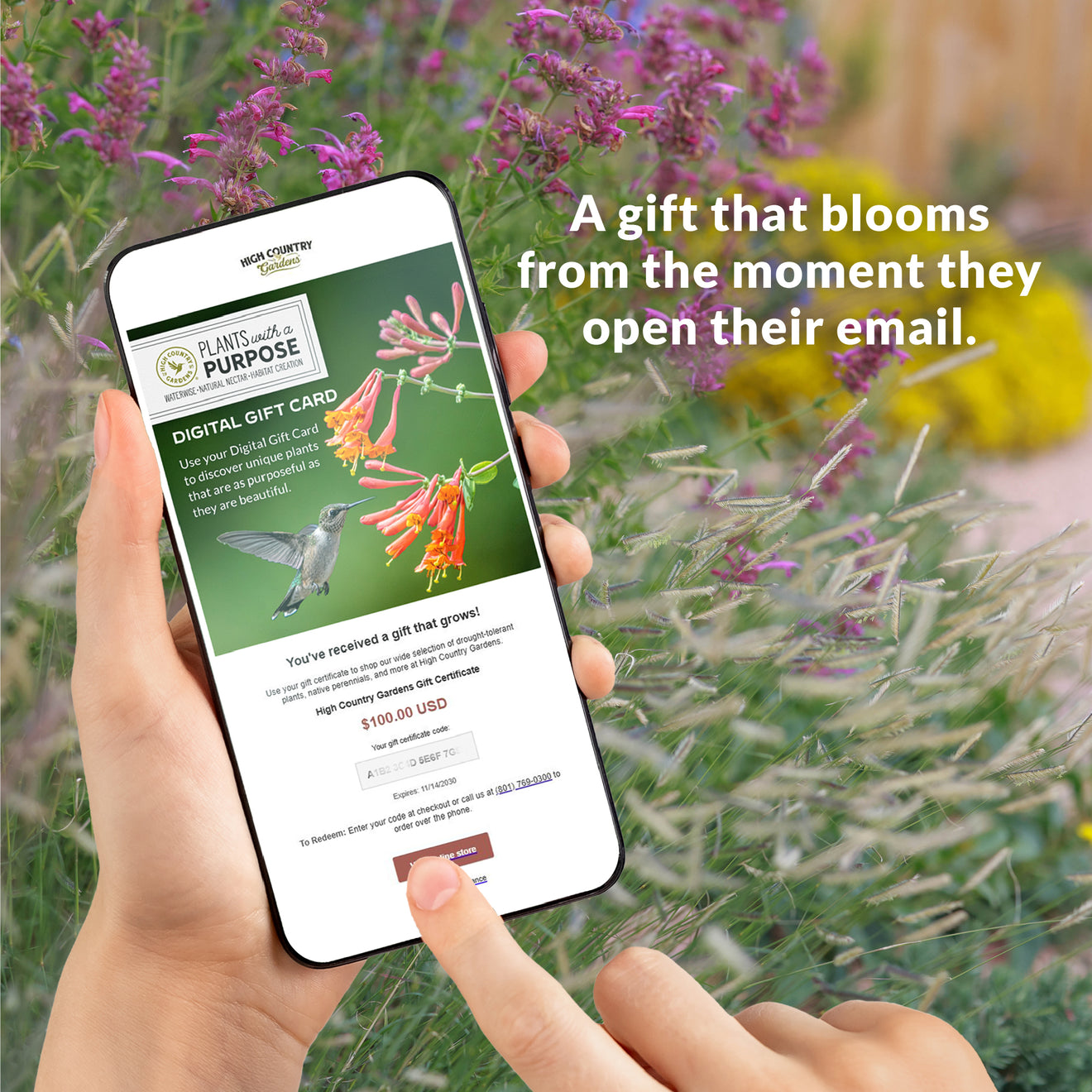 High Country Gardens Digital Gift Card