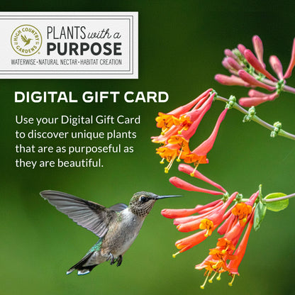 High Country Gardens Digital Gift Card