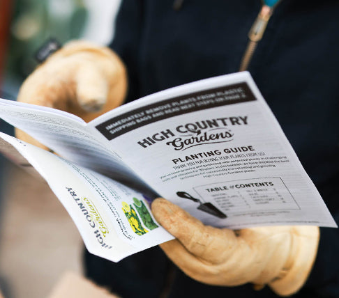 Gardener reading a planting guide