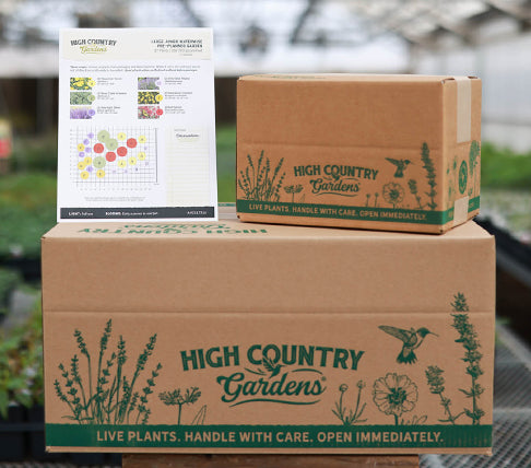 HCG boxes stacked