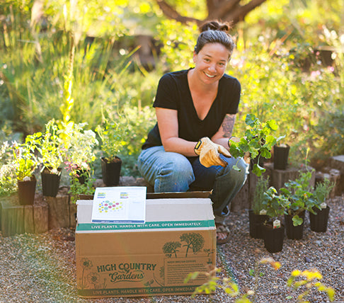 Gardener with a High Country Garden box in a garden