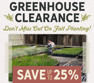 Greenhouse Clearance