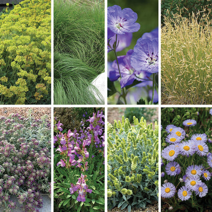 HOA Friendly Collection