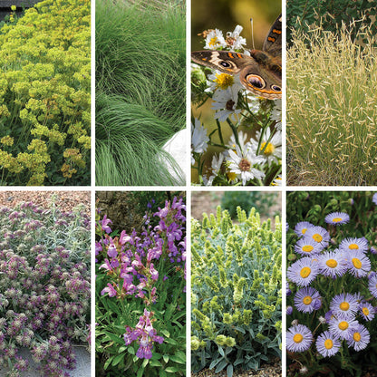 HOA Friendly Collection
