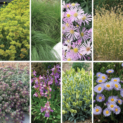 HOA Friendly Collection