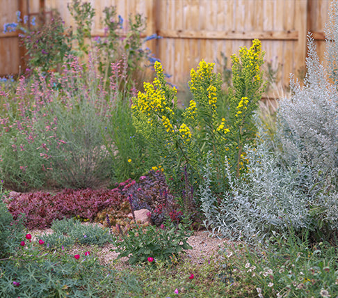 Garden in the western united states