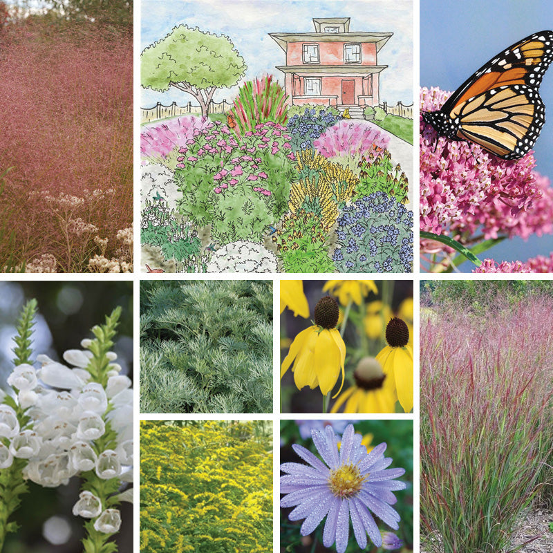 Large Watershed Wise Pre-Planned Garden