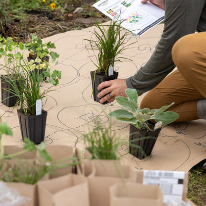 Pollinator Paradise Pre-Planned Garden