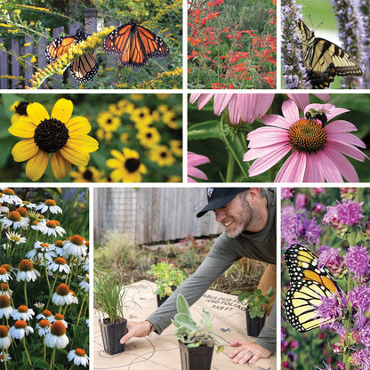 Pollinator Paradise Pre-Planned Garden