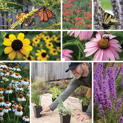 Pollinator Paradise Pre-Planned Garden