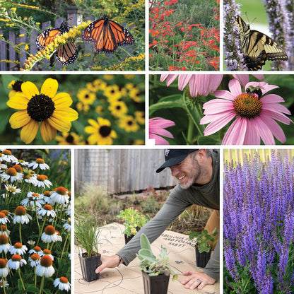Pollinator Paradise Pre-Planned Garden