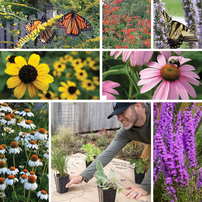 Pollinator Paradise Pre-Planned Garden