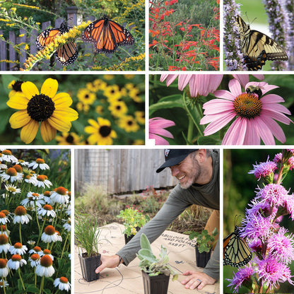 Pollinator Paradise Pre-Planned Garden