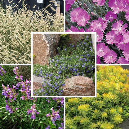 Rock Garden Collection