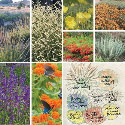 Rocky Mountain Native Pre-Planned Pocket Garden