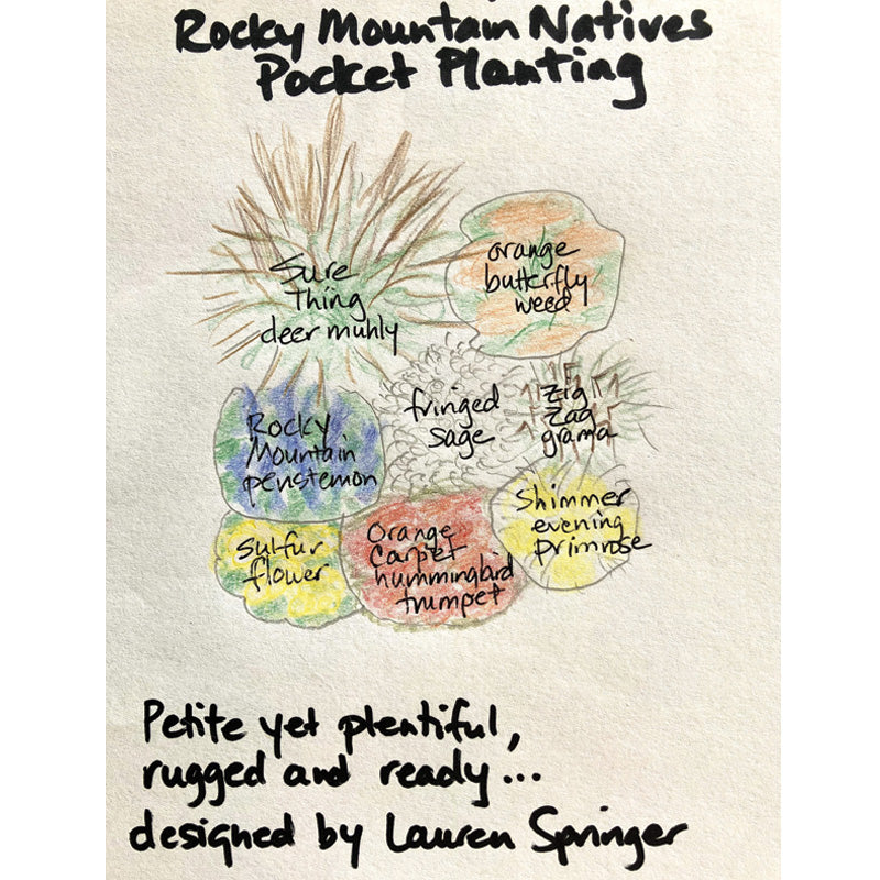Rocky Mountain Native Pre-Planned Pocket Garden Original Design By Lauren Springer