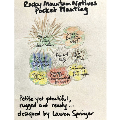 Rocky Mountain Native Pre-Planned Pocket Garden Original Design By Lauren Springer