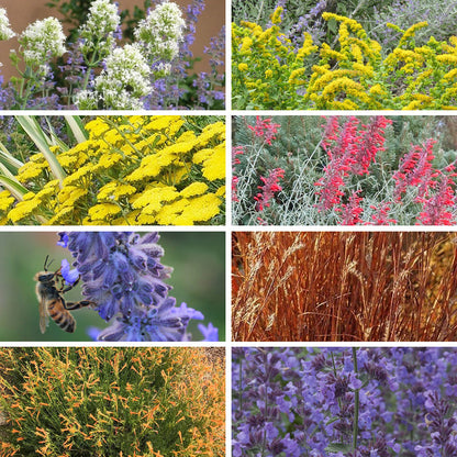 Summer Showstopper Pre-Planned Garden