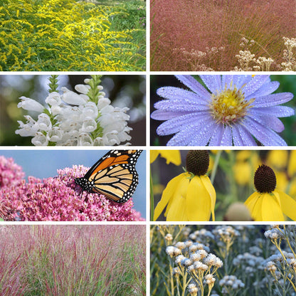 Watershed Wise Pre-Planned Garden