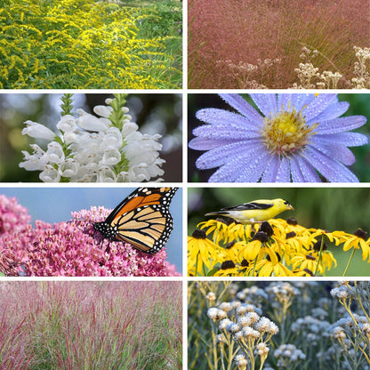 Watershed Wise Pre-Planned Garden